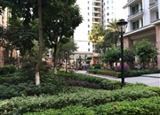 保利香槟花园-客厅