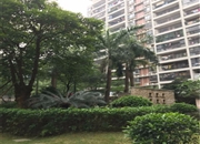日出观山苑-客厅