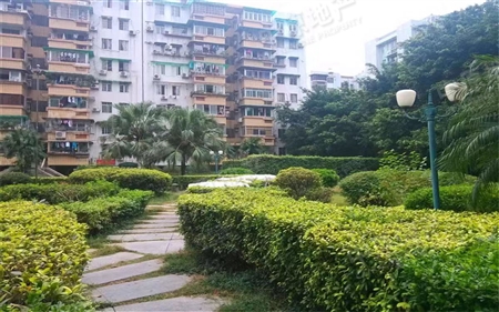 侨怡苑-景观