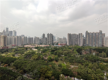 颐德公馆-景观
