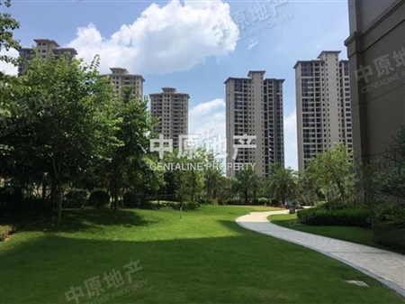 翡翠绿洲森林半岛-客厅