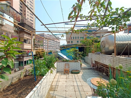 环市东公共区-其他