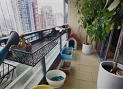 瑞安创逸-阳台