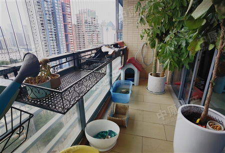 瑞安创逸-阳台