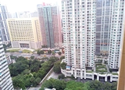 协和新世界-客厅