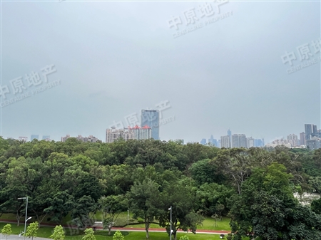 喜洋居-景观
