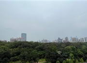 喜洋居-景观