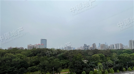 喜洋居-景观