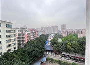 春江花园-景观