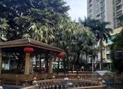 翠竹苑-客厅