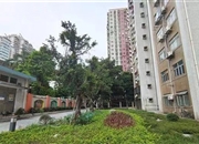 德荣小区-景观
