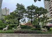 南国花园-景观