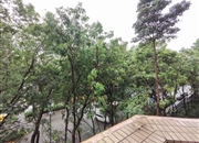 汇景新城维纶特莱-景观