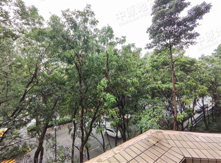 汇景新城维纶特莱-景观