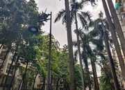 凯云新世界-景观