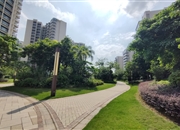 奥园莲峰圣境-景观