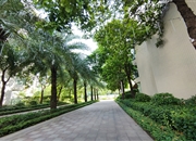 奥园莲峰圣境-景观