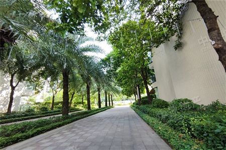 奥园莲峰圣境-景观