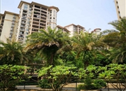 美林湖畔花园-景观