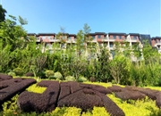 华标峰湖御境-客厅