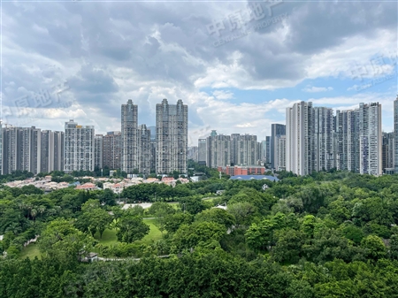 颐德公馆-景观