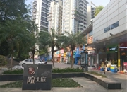 富力院士庭(车位)-客厅