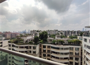 汇景新城棕榈园-景观