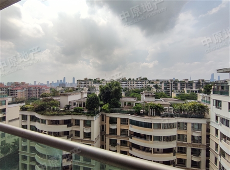 汇景新城棕榈园-景观