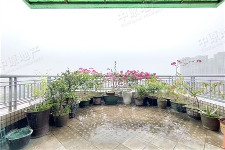 广州雅居乐花园雅逸庭-阳台