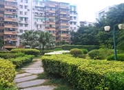 侨怡苑-客厅