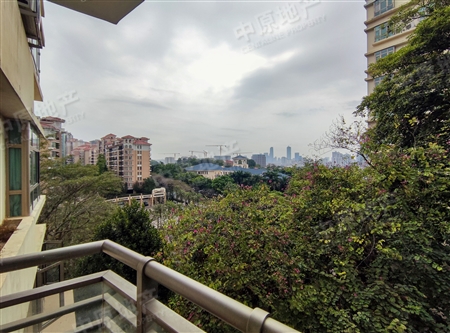 汇景新城棕榈园-景观