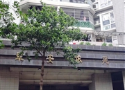 华景新城翠安侬苑-客厅