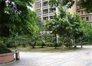 新城海滨花园-景观