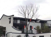 保利小楼大院-客厅