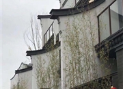 保利小楼大院-客厅