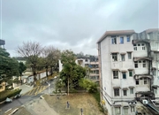 华南农业大学六一区-景观