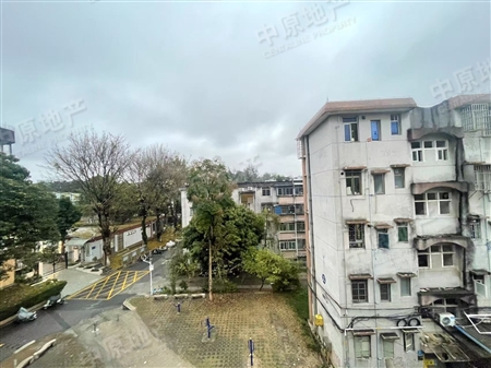华南农业大学六一区-景观