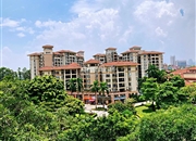 美林湖畔花园-客厅