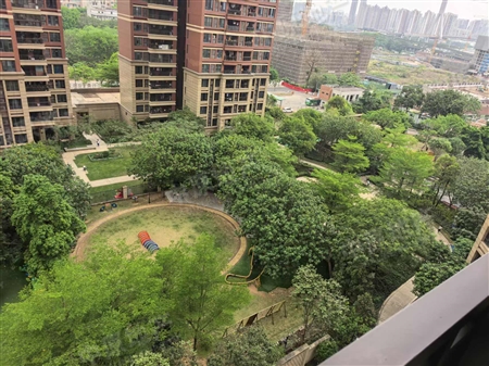 葛洲坝保利曼城(曼宁花园)-景观