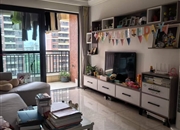 葛洲坝保利曼城(曼宁花园)-客厅