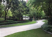 颐德公馆(别墅)-客厅