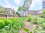 帝景山庄-入户花园