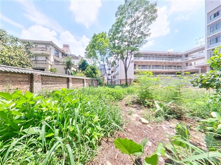 帝景山庄-入户花园