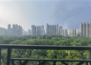 凯旋新世界枫丹丽舍-景观