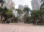 广州雅居乐花园十年小雅-景观