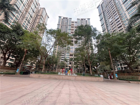 广州雅居乐花园十年小雅-景观