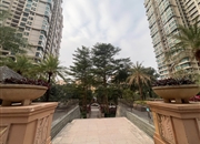 广州雅居乐花园十年小雅-景观