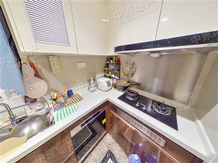 绿地越秀海玥-厨房