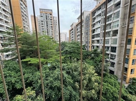 星汇雅苑-景观