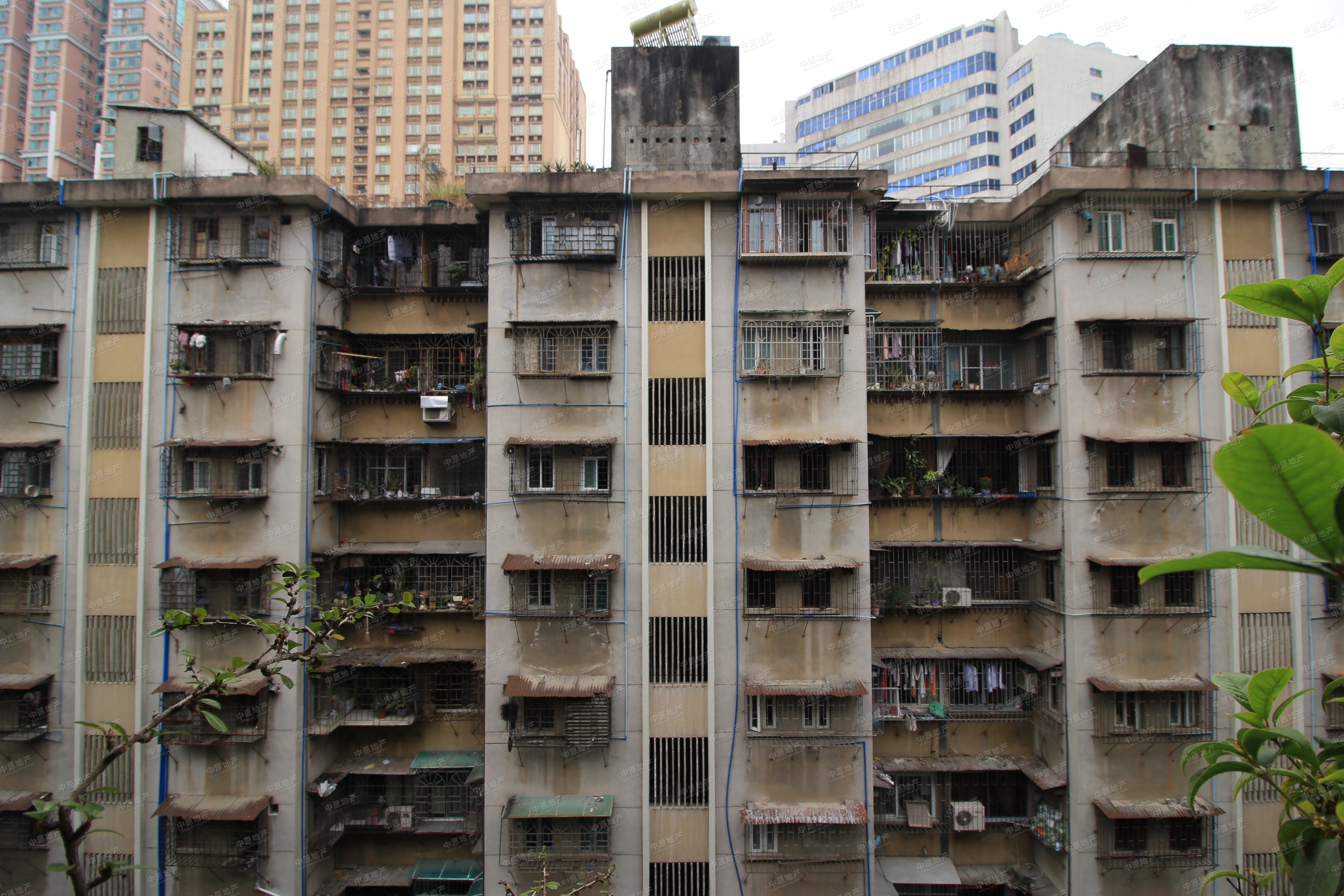 水荫路34号大院中层南北向大两房 大院安静 78方售355万